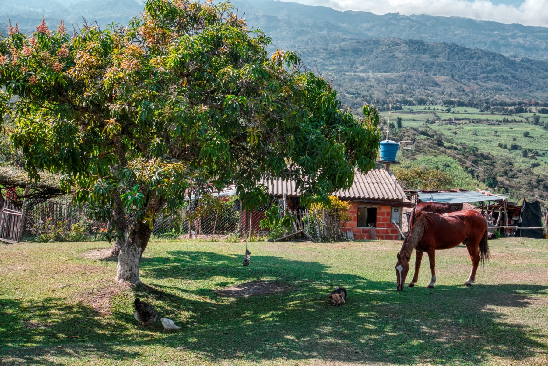 Mobirise Website Builder